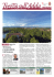 Numero 2 - Giugno 2013 - Comune Trezzo sull`Adda