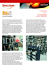 case study - Incas Group