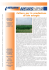 Colture per la produzione di bio energia