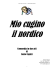 Mio cugino il nordico_ di Santo Capizzi