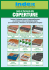 GUIDA AL RIFACIMENTO DELLE COPERTURE soluzioni di