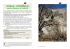 Topo_files/Sobrio clean web light