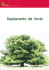 Regolamento del Verde - Collegio Geometri BO
