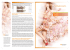 Stampa digitale per l`abbigliamento: