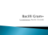 5-Malattie da bacilli Gram pos