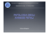 patologia annessi fetali