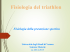 Fisiologia del triathlon - Scienze Neurologiche e del Movimento