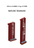 SCALA A GABBIA D.lgs 81/2008 NOTIZIE TECNICHE