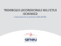 Presentazione di PowerPoint