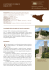 Itinerari culturali del medioevo siciliano