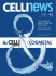 Celli Group and Cosmetal toGether.