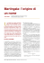 Martingala: l`origine di un nome -