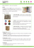 Bag in Box - Scatolificio Udinese