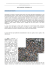 Descrizione del progetto