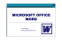 microsoft office word