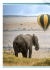 kenya - Opentur