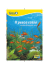 Il pesce rosso secondo Tetra
