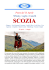 Programma del viaggio