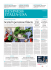 solemi02: speciale_3d-b_impresa