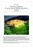 Residenza Sguardo 8 nuove case unifamiliari gemelle