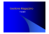 Gestione Magazzino