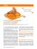 scarica l`articolo - Nutrition Foundation of Italy