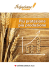 Scarica Soluzione Grano - Sumitomo Chemical Italia