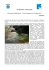2012-05-13 Resoconto Bidda Mores