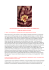 0000 intervista eBook beppe