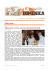 La Domenica 11-11-2012