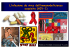 L`infezione da virus dell`immunodeficienza acquisita (HIV-1) L