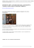 Scarica come PDF
