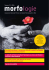 Morfologie n. 23-2016. Rivista di APMAR Onlus