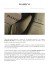2_damicomilano_brandprofile
