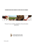 Dossier informativo sul mercato wine in Quebec