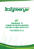manuale di corretta installazione sistemi in erba sintetica italgreen spa
