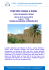 Oman e Dubai - CRAD Banca Carim
