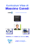 Curriculum Vitae di Massimo Canedi