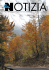 N.105 dicembre (9,1Mb Pdf)