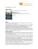 bright star - Comune di Rosignano Marittimo