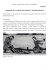 Classe IV – materiali di lavoro – Storia – vita nel Medioevo 1 Scheda