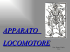 Patologia Osteoarticolare