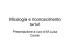 Micologia e riconoscimento tartufi