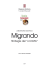 Migrando. Strategie del contatto