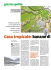 Casa tropicale: banane di mon