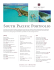South Pacific Portfolio
