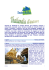 Thailandia D`autore