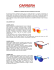 CARRERA FALL/WINTER 2014/2015 EYEWEAR