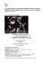 LA SFERA DANZA: XIII FESTIVAL INTERNAZIONALE DI DANZA