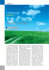 Visualizza PDF - SafeOnline.it